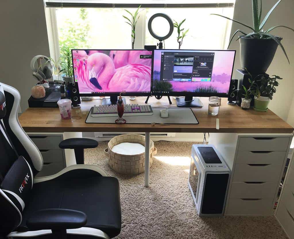 A tidy home office setup with dual monitors displaying flamingos, gaming chair, plants, a microphone, and a ring light on a wooden desk