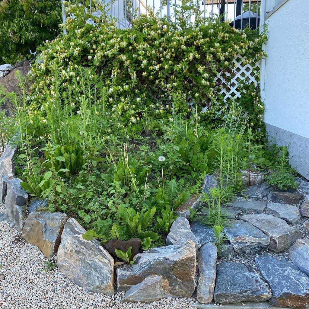 Rock-edged xeriscape garden with drought-tolerant greenery, blooming vines on a trellis, and a stone pathway for a natural look