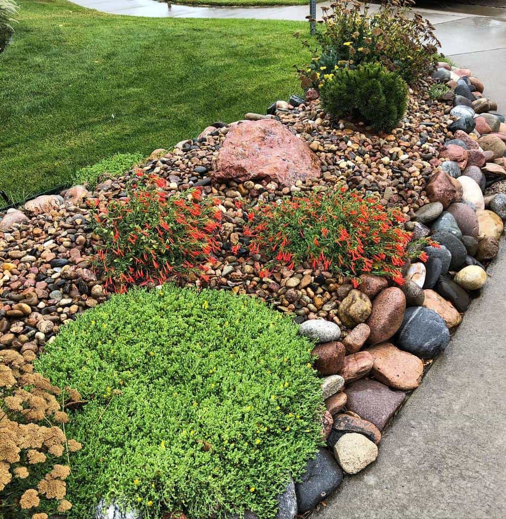 Colorful xeriscape garden with decorative rocks, vibrant flowering plants, and lush ground cover for a drought-tolerant landscape