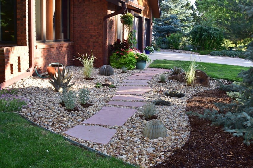 Beautiful xeriscape front yard with a stone pathway, decorative cacti, drought-tolerant plants, and a pebble-filled landscape