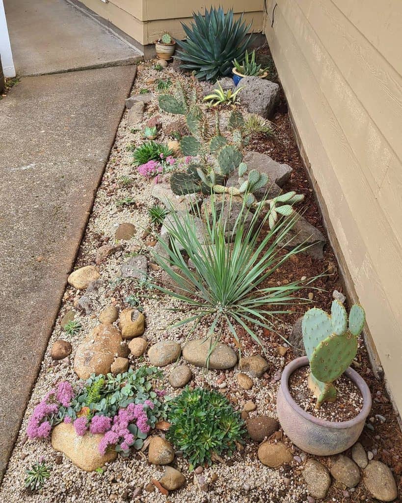 25 Xeriscape Ideas for Your Yard - Trendey