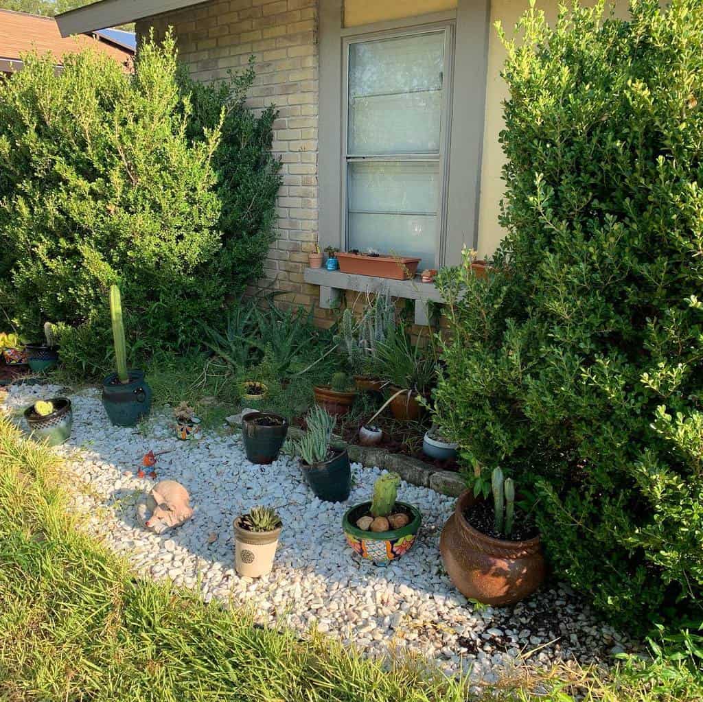 Cozy xeriscape garden with potted succulents, cacti, and decorative rocks, framed by lush green shrubs near a brick home