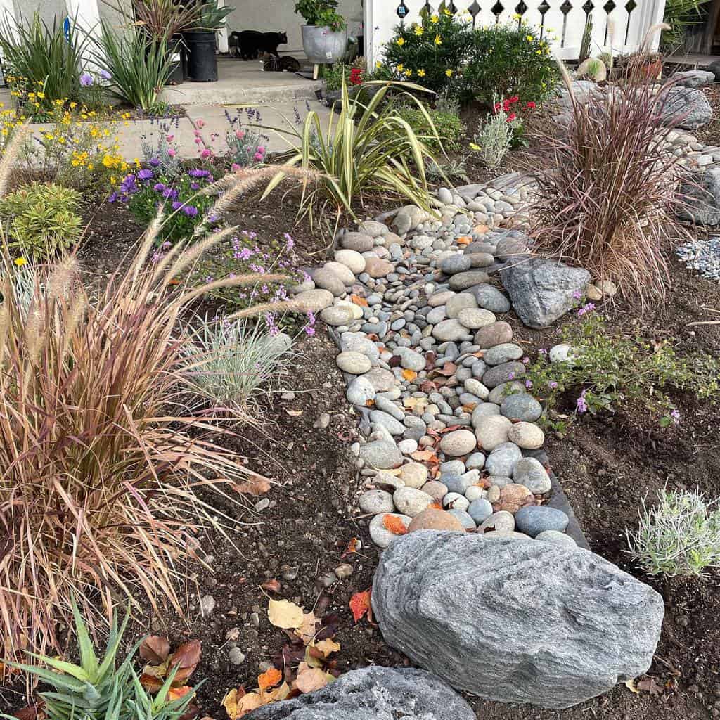 Xeriscape front yard with a dry creek bed, ornamental grasses, colorful flowers, and decorative rocks for a drought-friendly landscape