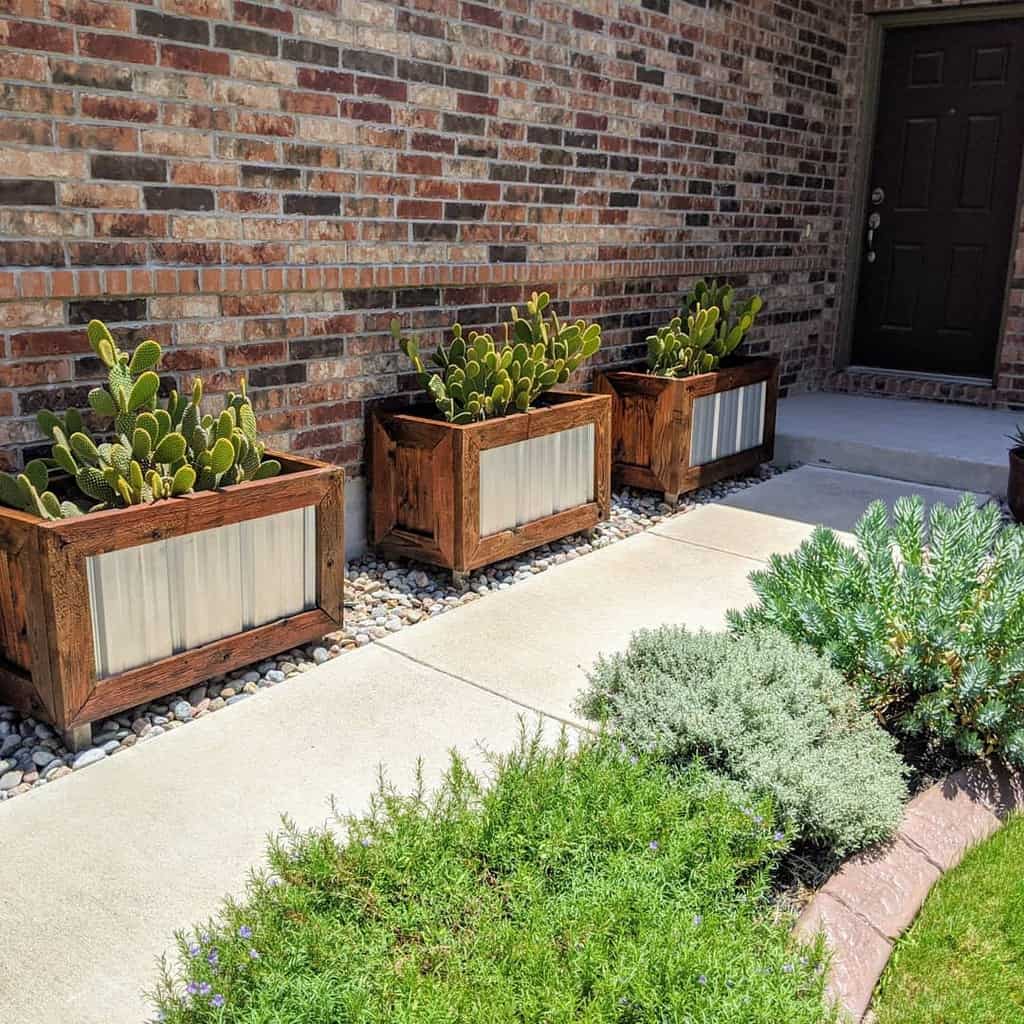 Modern xeriscape entryway with rustic wooden planters filled with cacti, a stone-accented walkway, and drought-tolerant greenery