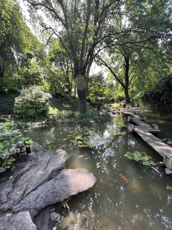 Serene garden with a pond, lily pads, rocks, a wooden walkway, and lush green trees reflecting the sunlight