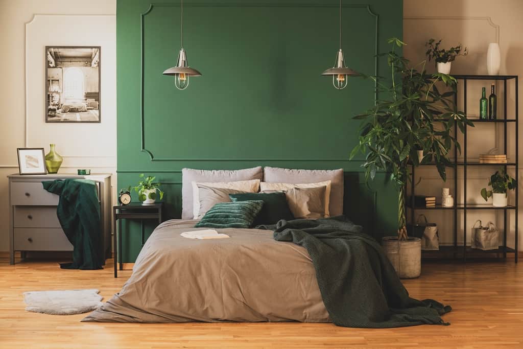 contemporary bedroom with green accent wall