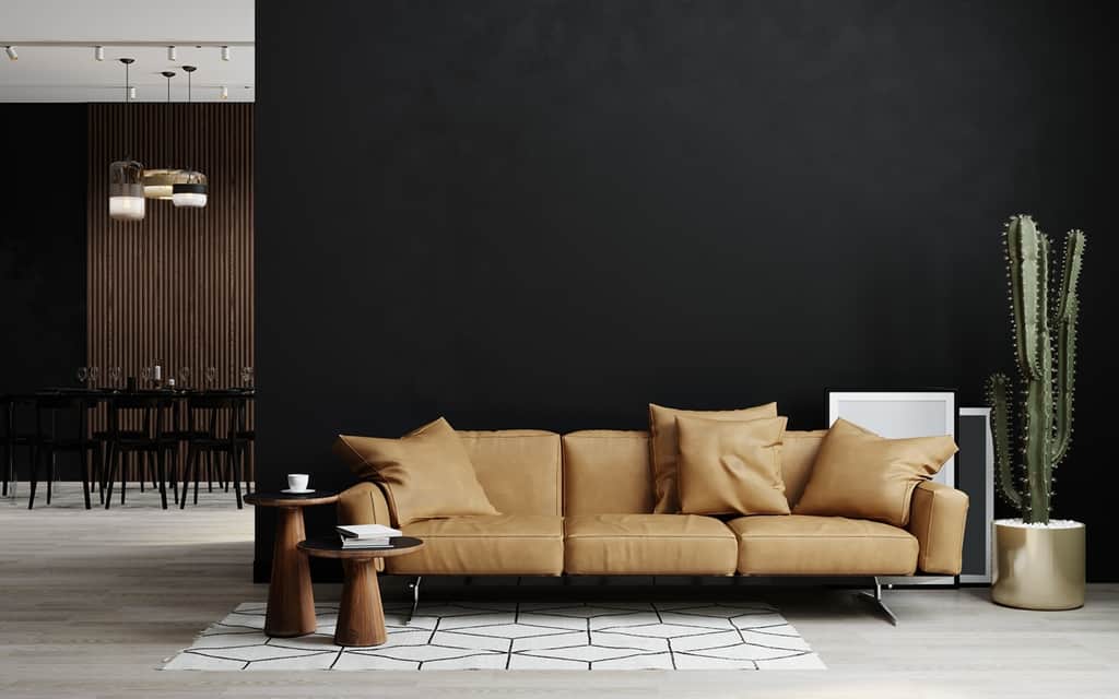 living room interior with blackest black accent wall