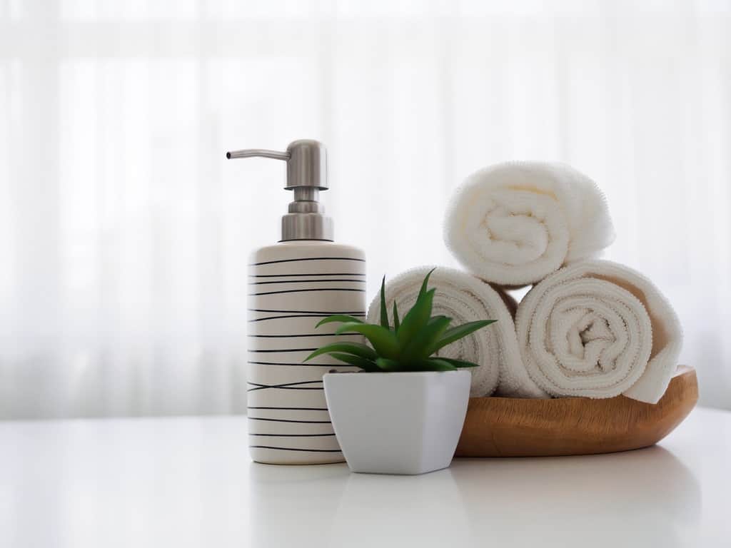 bathroom towels with a planter