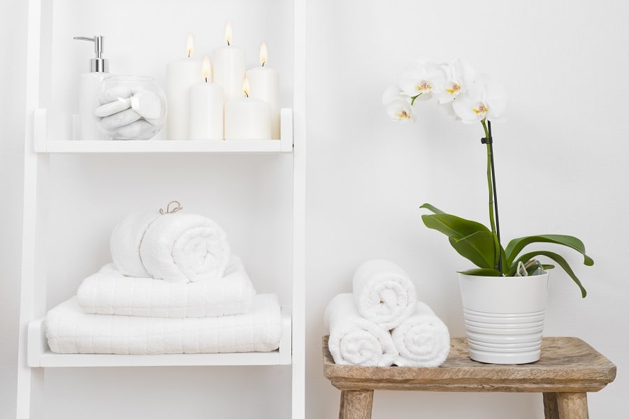 bathroom towels with flower in a pot