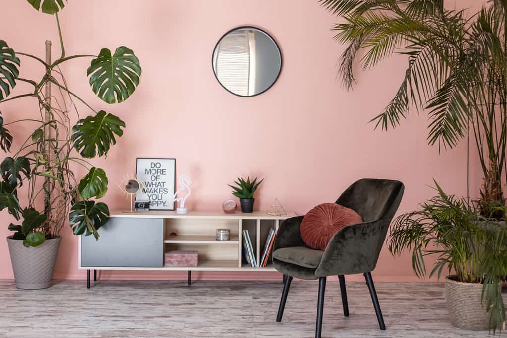 pink living room with grey floors