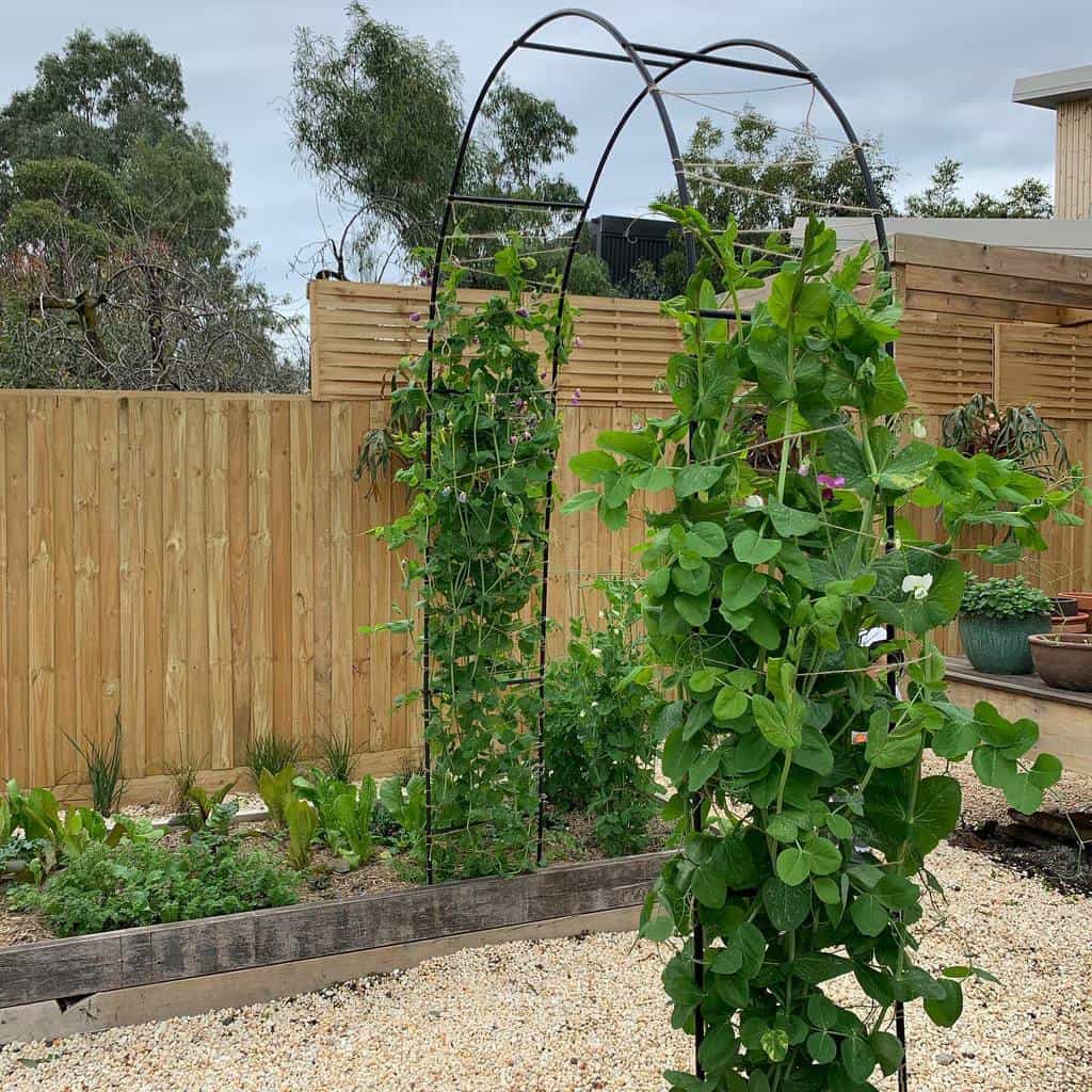 55 DIY Trellis Ideas for Your Garden