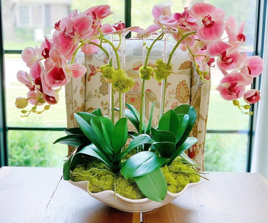 Elegant pink orchids with lush green leaves in a decorative white bowl on a wooden table, set against a window backdrop