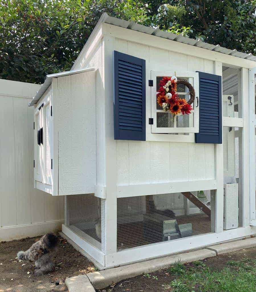 A small backyard chicken coop with blue shutters, a floral wreath, and a dog nearby on the grass