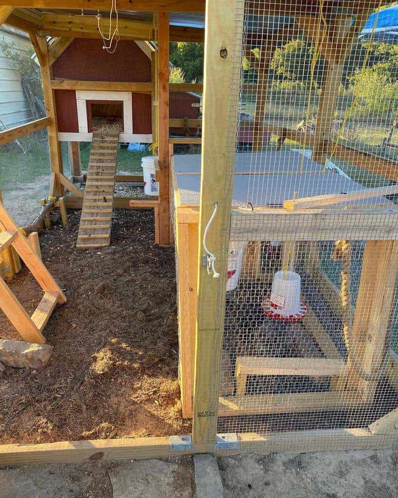 A chicken coop with a wooden ramp, water feeder, and fenced enclosure in a sunny outdoor setting