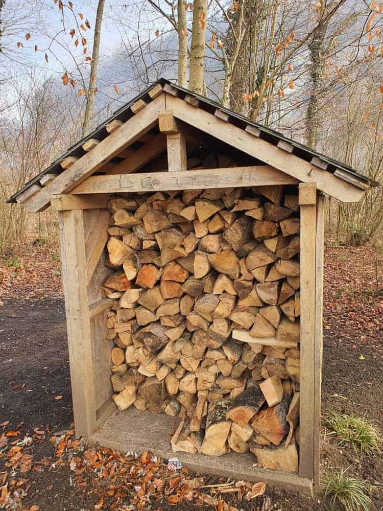 A wooden shelter filled with stacked firewood, surrounded by trees with autumn leaves