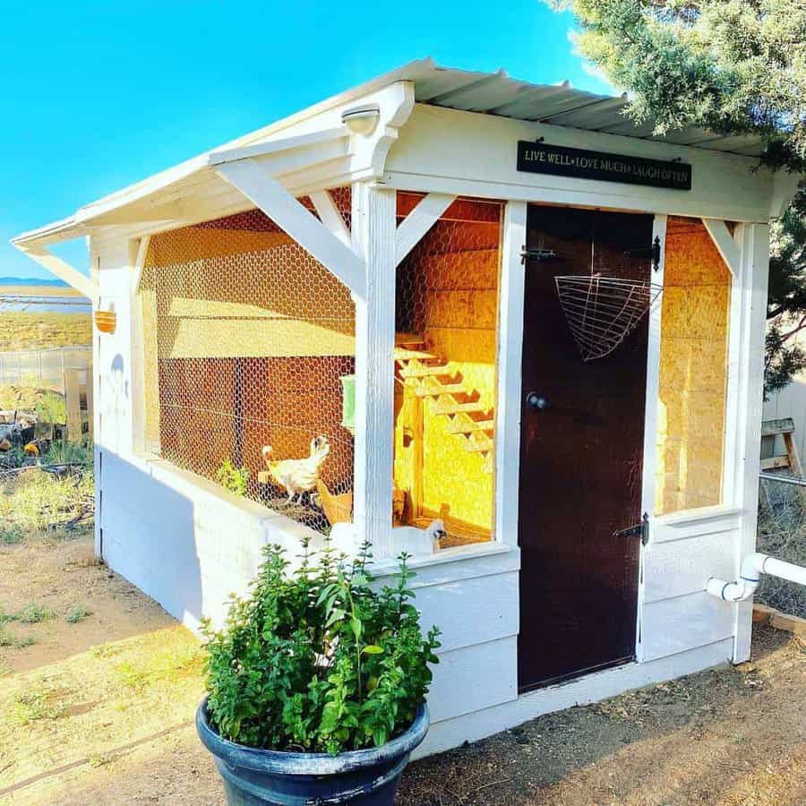 Rustic white and wood chicken coop with a covered run, wire mesh walls, a dark door, and a cozy nesting area inside