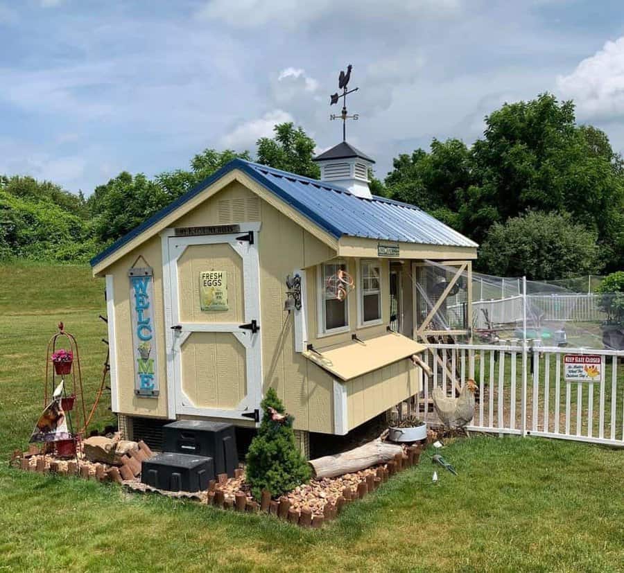 Small yellow chicken coop with blue roof, weather vane, and "Fresh Eggs" sign, surrounded by greenery and a fenced area