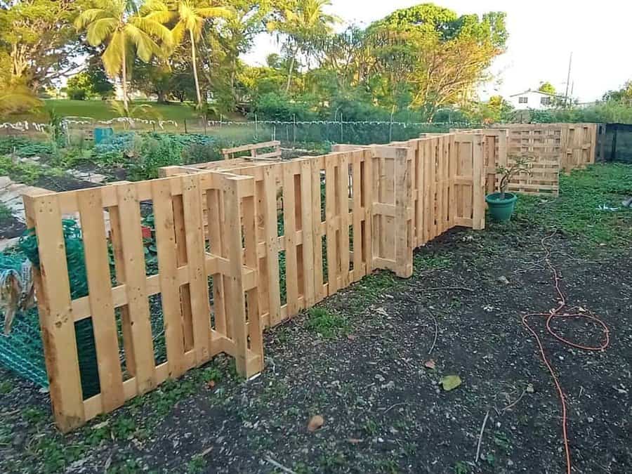 DIY pallet fence enclosing a lush garden area, made from repurposed wood pallets, with tropical trees and greenery in the background