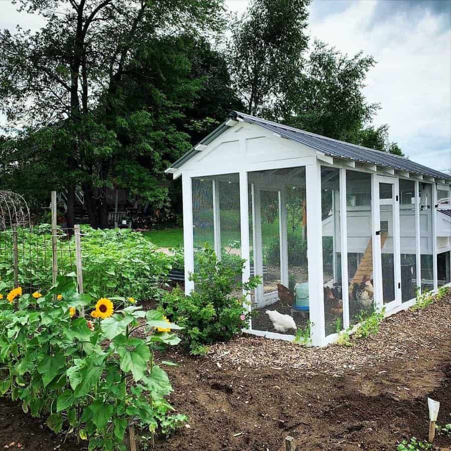 chicken coop in a garden