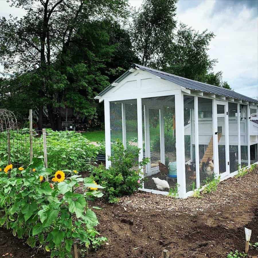 White chicken coop with a wire enclosure in a garden, surrounded by green plants and sunflowers, under a cloudy sky