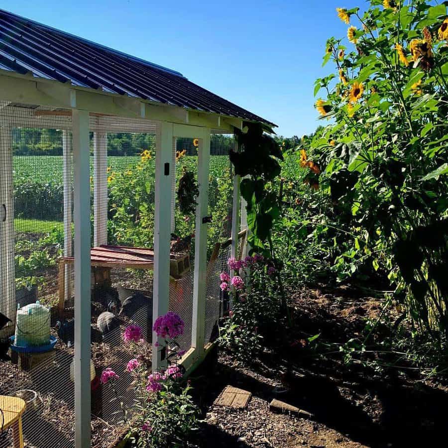 Garden with a small chicken coop, flowers, and sunflowers under a clear blue sky, fields and trees visible in the background