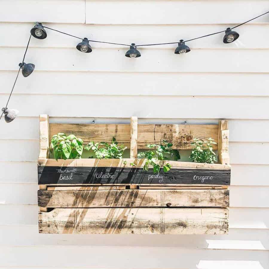 Rustic DIY pallet herb garden mounted on a white wall, labeled with basil, cilantro, parsley, and oregano, accented by string lights above