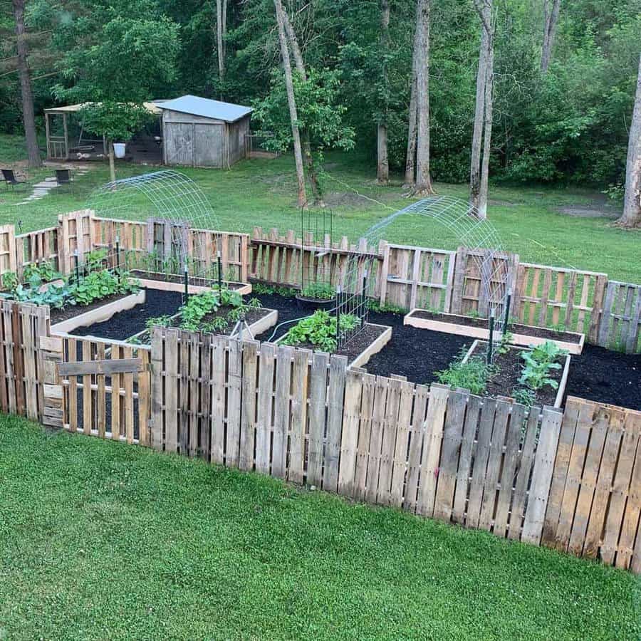 DIY pallet-fenced vegetable garden with raised beds and arched trellises, set in a lush backyard with tall trees and a rustic shed