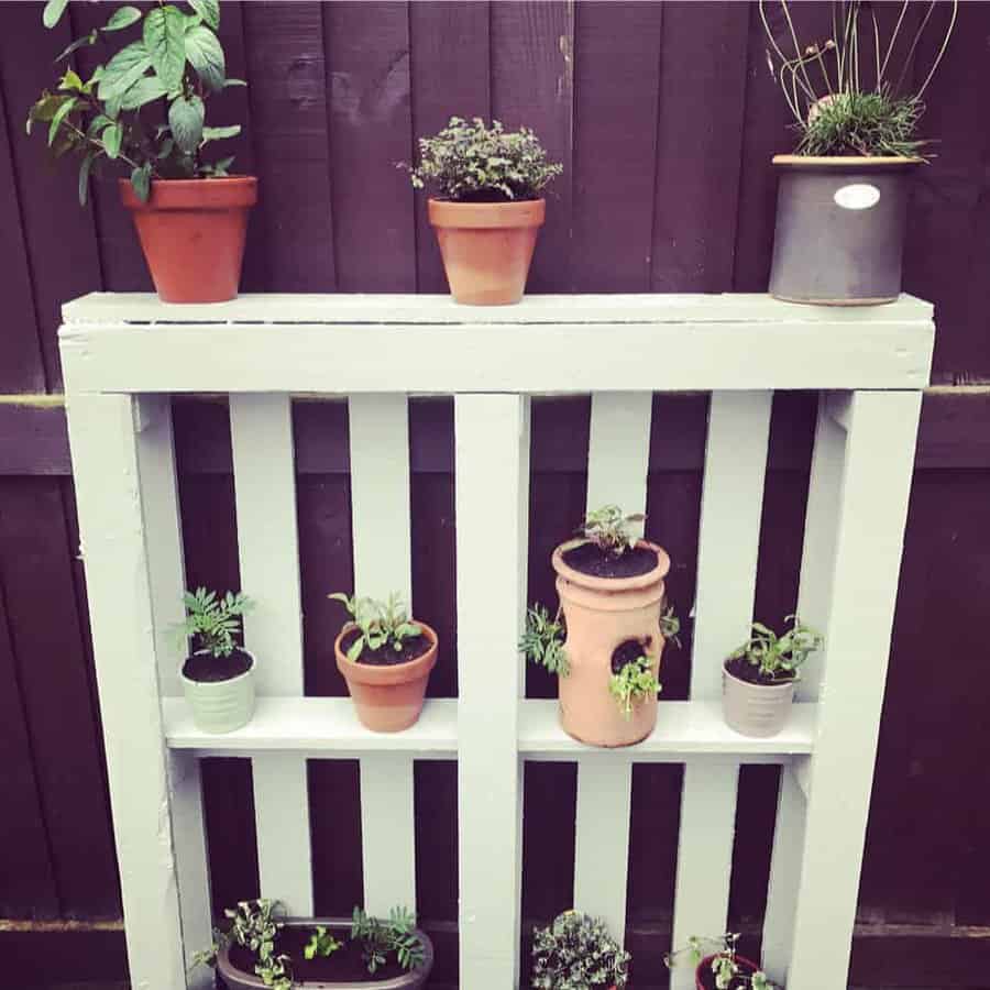 DIY white pallet shelf repurposed as a vertical planter, holding potted herbs and flowers against a dark wooden fence