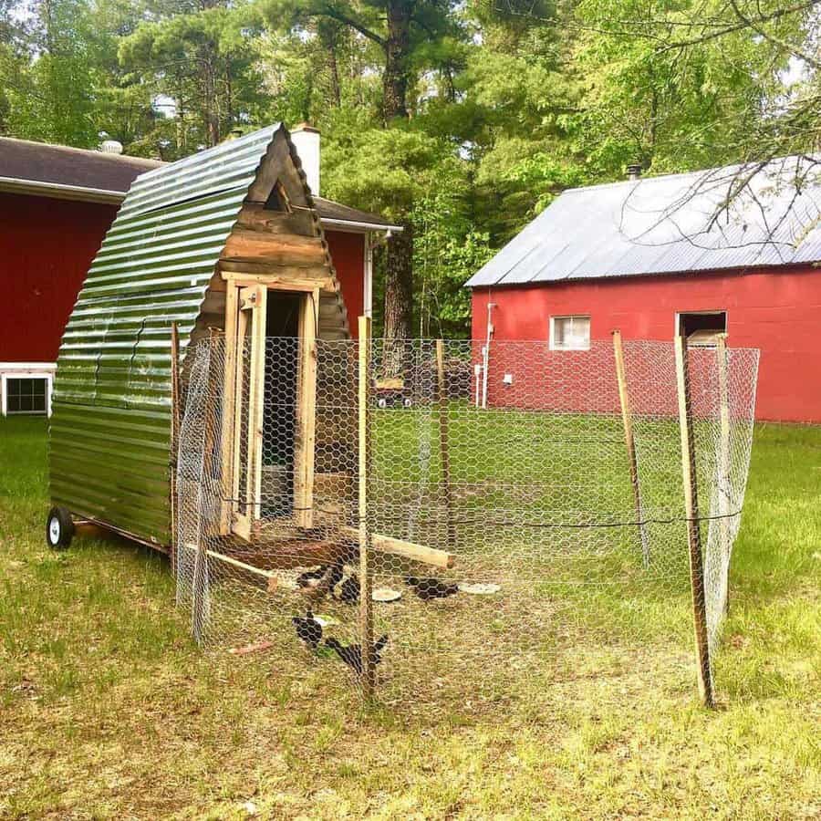 A-frame chicken coop with attached wire enclosure on grass, red barn in background, trees surrounding