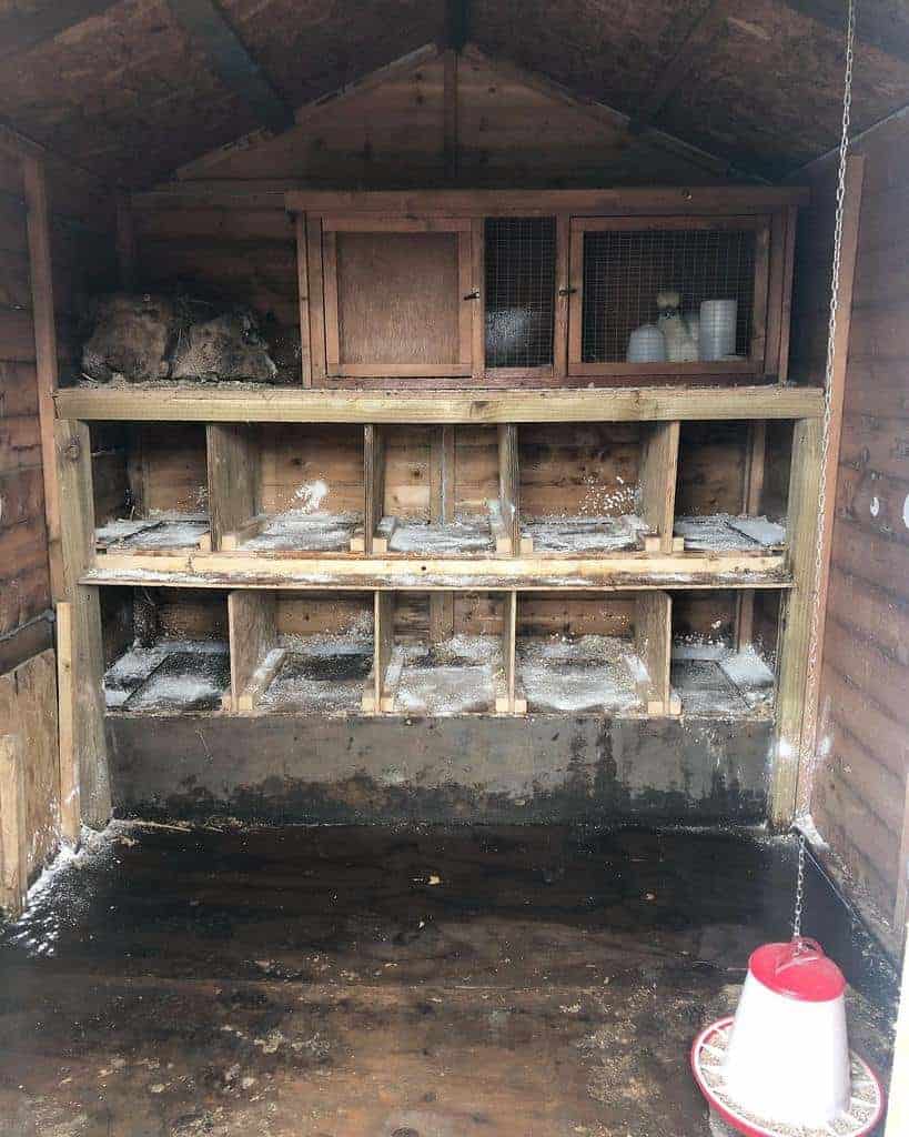 Inside view of a wooden chicken coop, featuring a row of nesting boxes with scattered straw, and a feeder hanging in the foreground