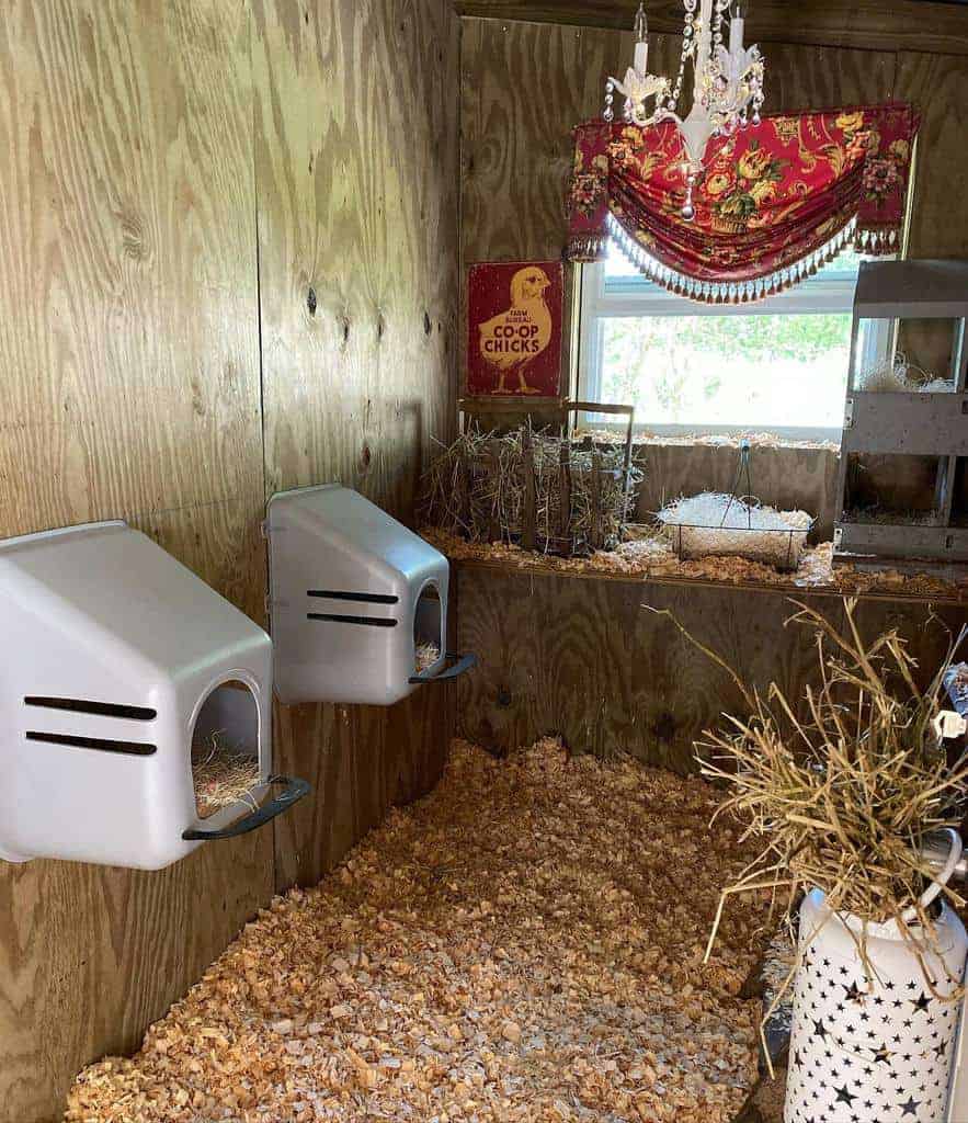 Cozy chicken coop interior with plastic nesting boxes, wood shavings, a chandelier, vintage decor, and a window with a red valance