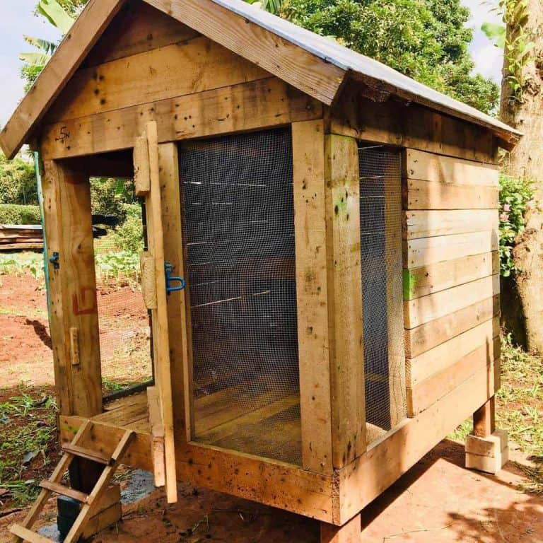 15 Chicken Coop Ideas for Your Backyard
