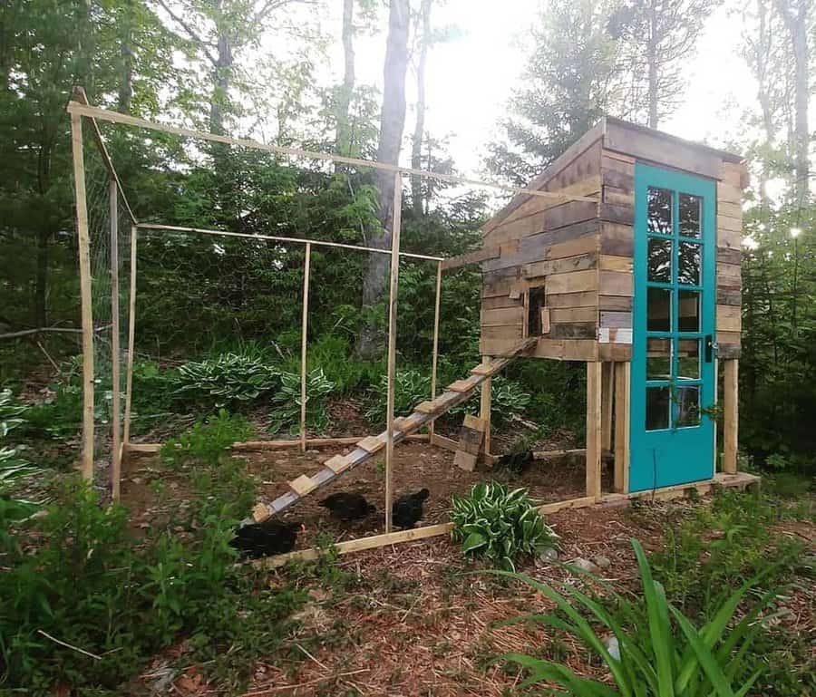 A rustic chicken coop with a turquoise door, featuring a wooden ramp and surrounded by greenery