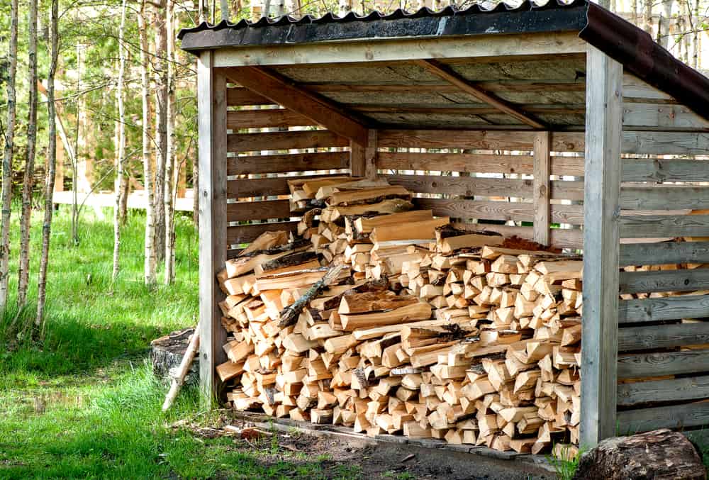 A wooden shed in a forest holds neatly stacked firewood on a grassy surface, with trees in the background