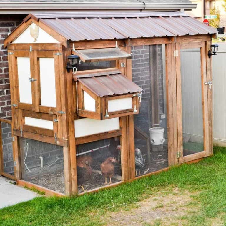 15 Chicken Coop Ideas for Your Backyard