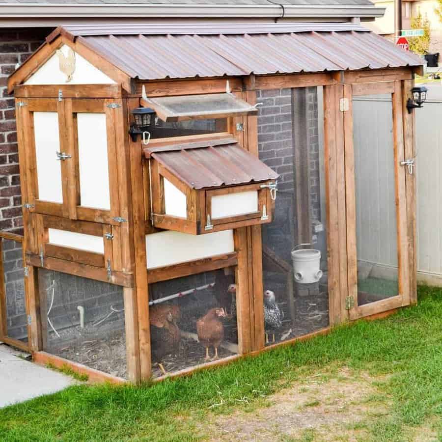 Rustic chicken coop