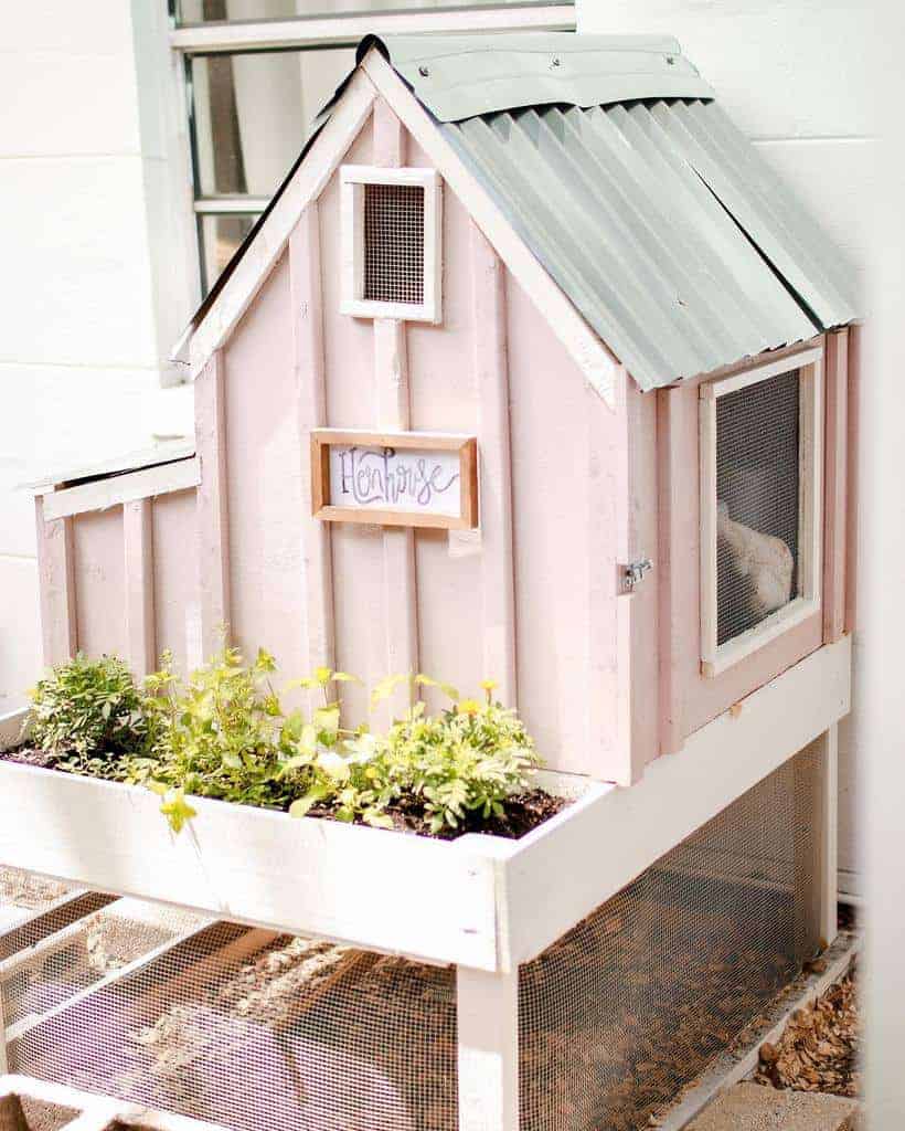 Charming pastel pink chicken coop with a metal roof, mesh windows, and a built-in planter, labeled 'Henhouse' on the front