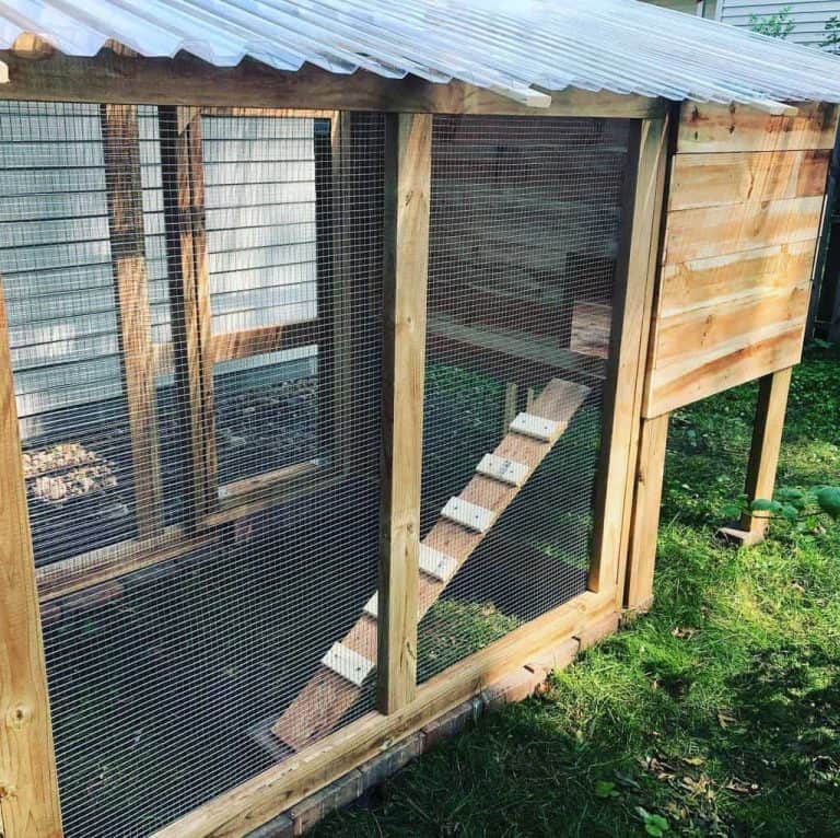 15 Chicken Coop Ideas for Your Backyard