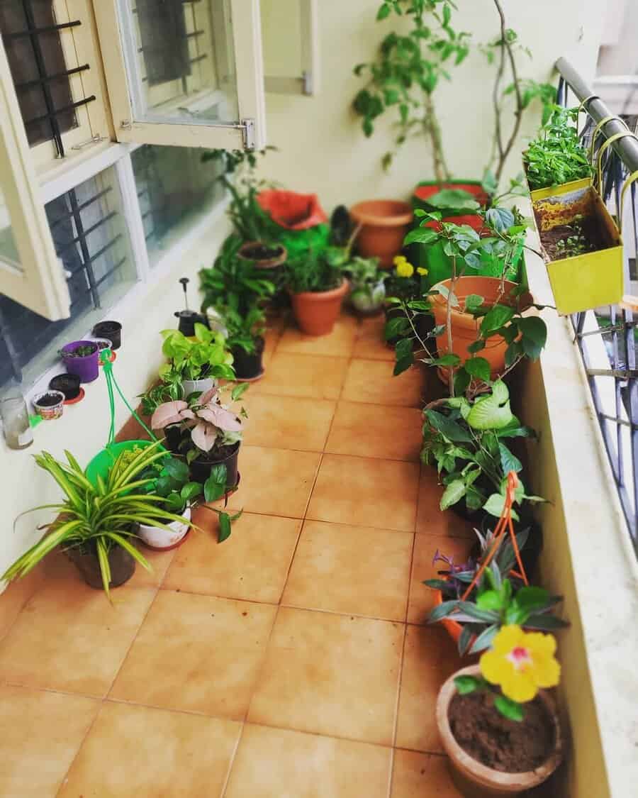 A small balcony garden with various potted plants, including flowers and leafy greens, arranged along a tiled floor