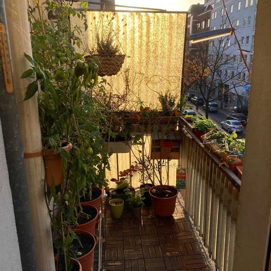 Small balcony garden with potted plants, hanging baskets, and a wooden floor, bathed in warm sunlight with a city view in the background