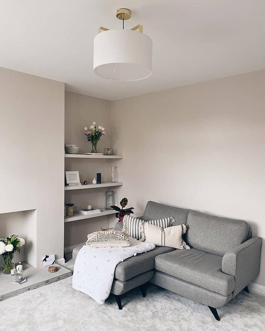 Apartment living room with gray tones