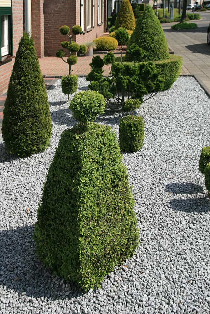 Topiary garden with gravel and house facade