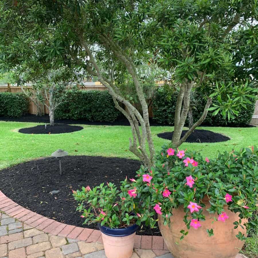 Low-maintenance backyard landscaping with mulched tree beds, lush greenery, and vibrant pink flowers in terracotta pots