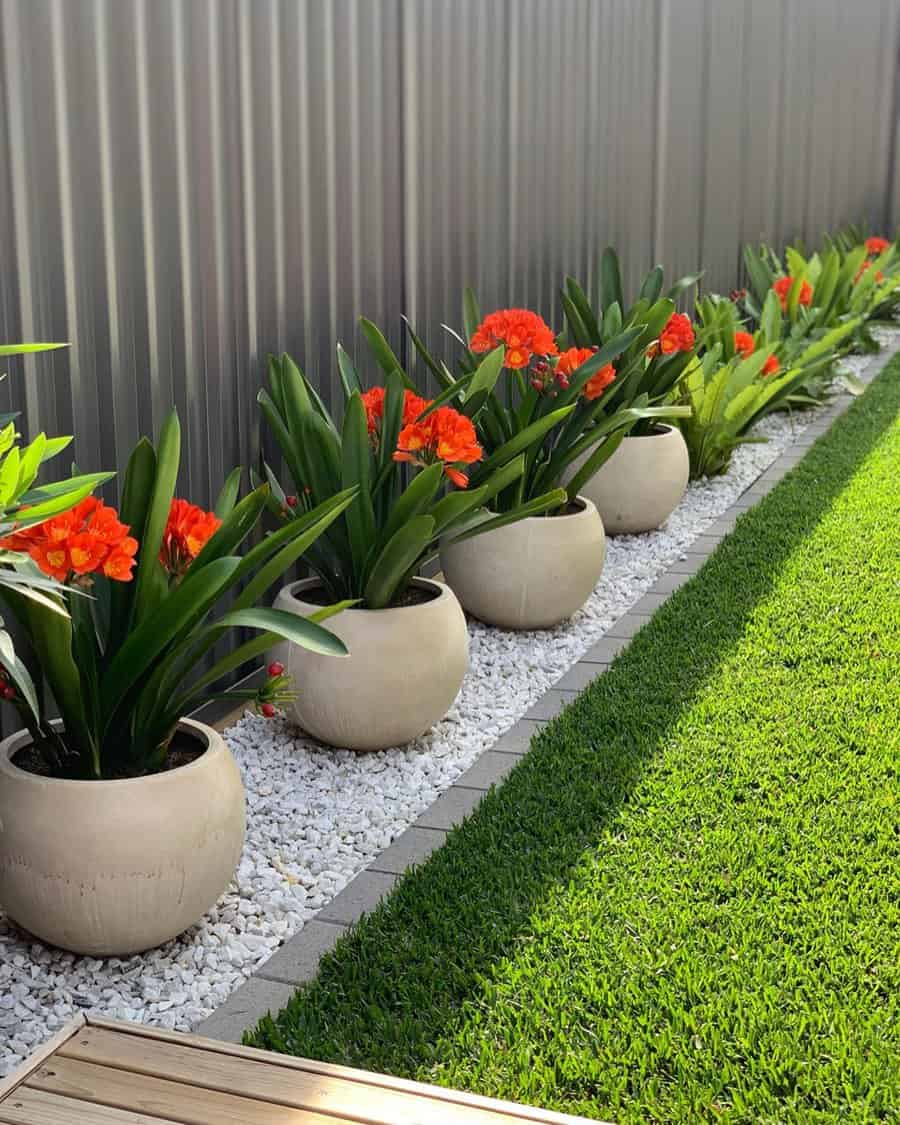 Low-maintenance backyard with vibrant orange flowers in beige pots, white pebble edging, and a neatly trimmed green lawn