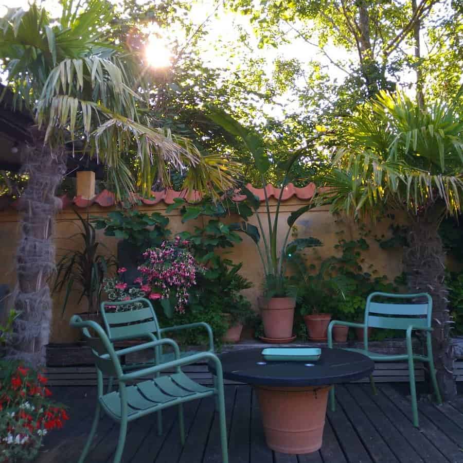 backyard fence with tropical plants 