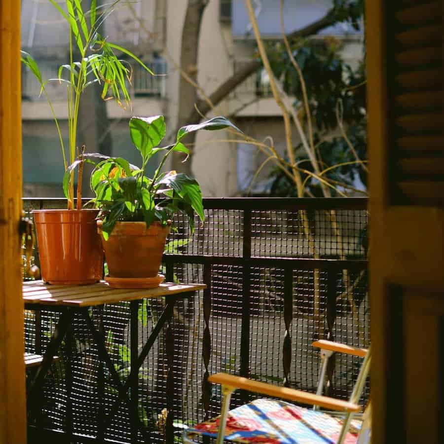 Apartment patio with plants 