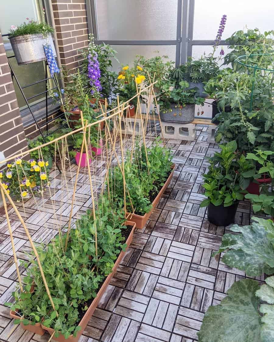 Urban balcony garden with various plants in pots, trellises, and raised beds, brick wall and tiled floor in the background