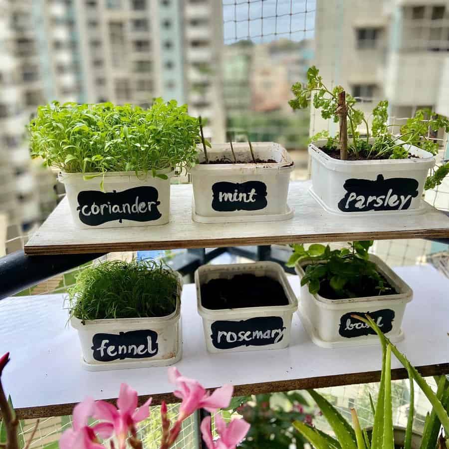 Small balcony garden with labeled pots of coriander, mint, parsley, fennel, rosemary, and basil set against a cityscape backdrop