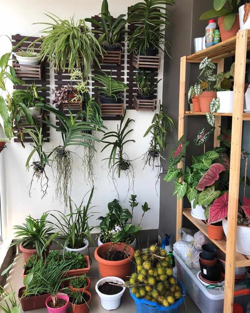 Indoor garden with hanging plants on a wall grid and potted plants on shelves, including cacti and leafy greens