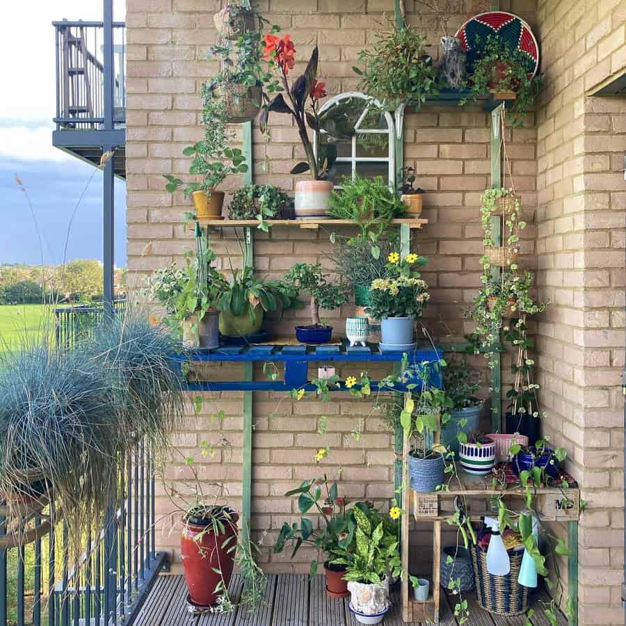 Balcony garden with various potted green plants on shelves against a brick wall, a grassy field is visible in the background